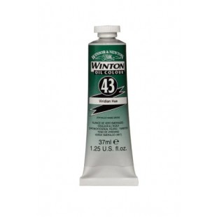 Winton Oil Colours 37 ml